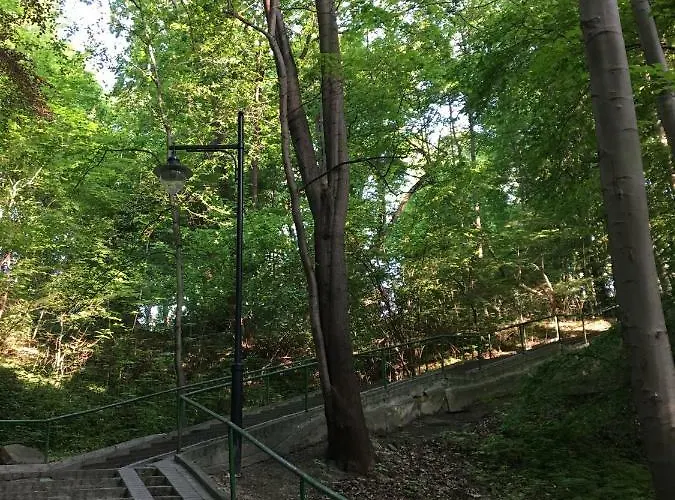 米拉华酒店 酒店